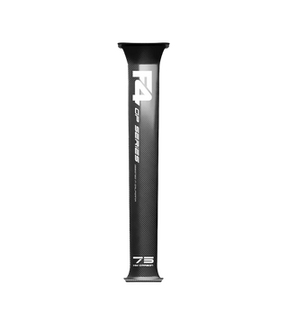 F4 FOILS GP PLATE MAST