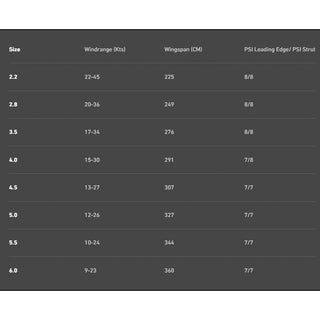 EZZY FLIGHT WING 2024